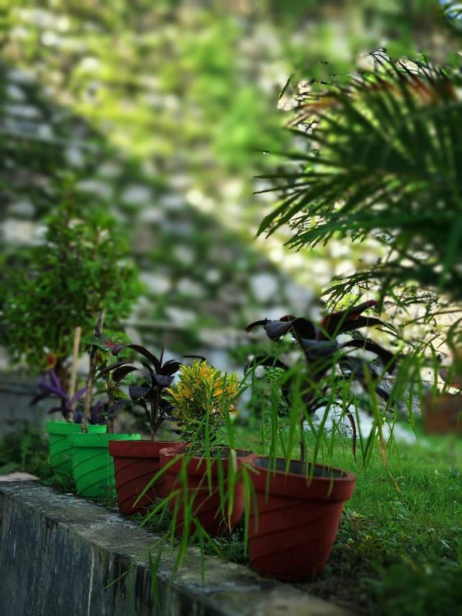 Nature Villa Rishikesh Luaran gambar