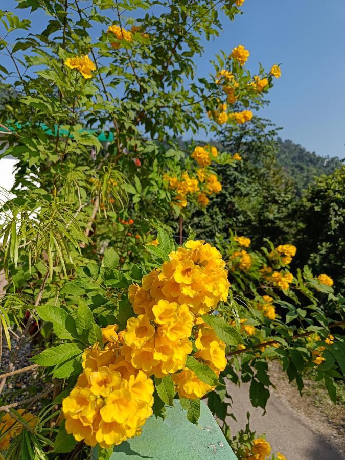 Nature Villa Rishikesh Luaran gambar